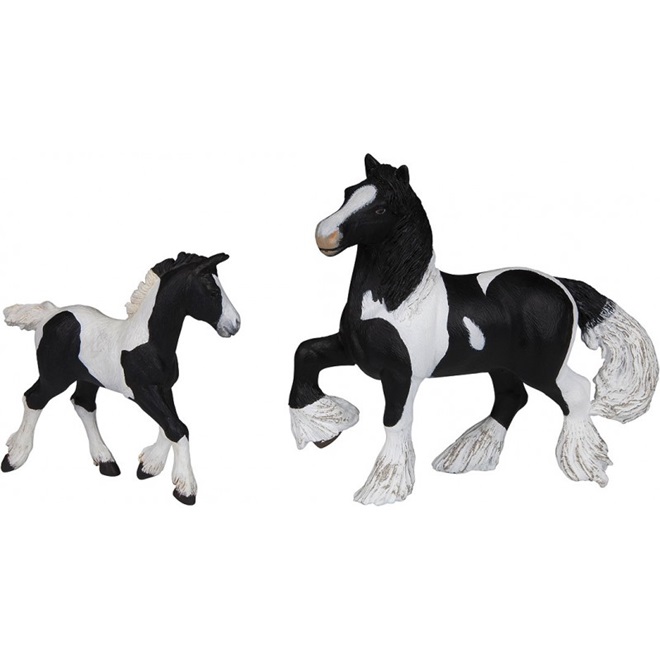 CAVALLO BLACK IRISH COB FOAL  